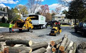 Best Tree Fertilization Services  in Grover, WY